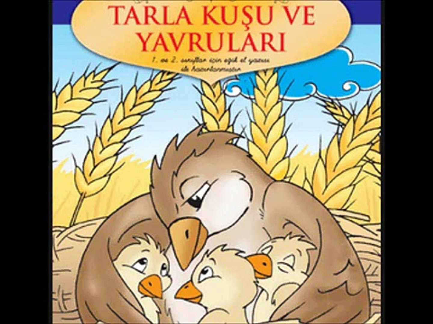 Tarla Kuşu Ve Yavruları
